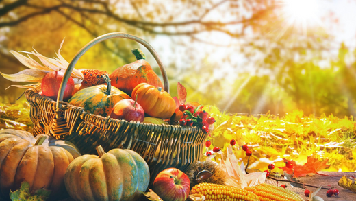 Kulinarischer Herbst beim Mosshammer