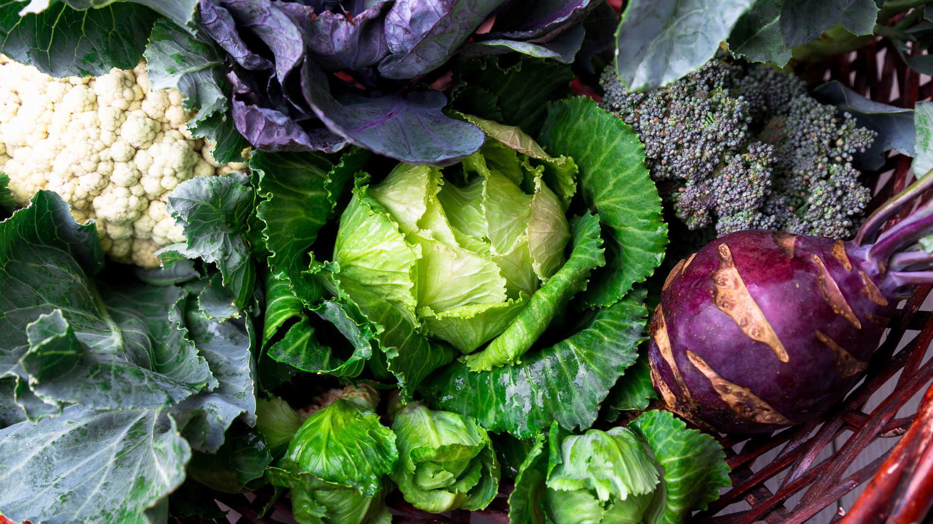 Kohl im November: Mosshammer‘s liebste Kombinationen